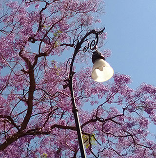 Dr. Rudy Huang, Taipei, Chinese translation